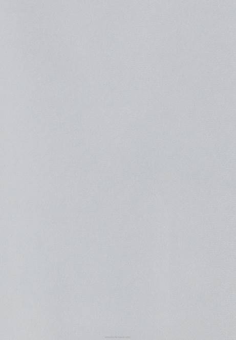 Oberteil hellgrau Anna Field V0FT440 Frauen