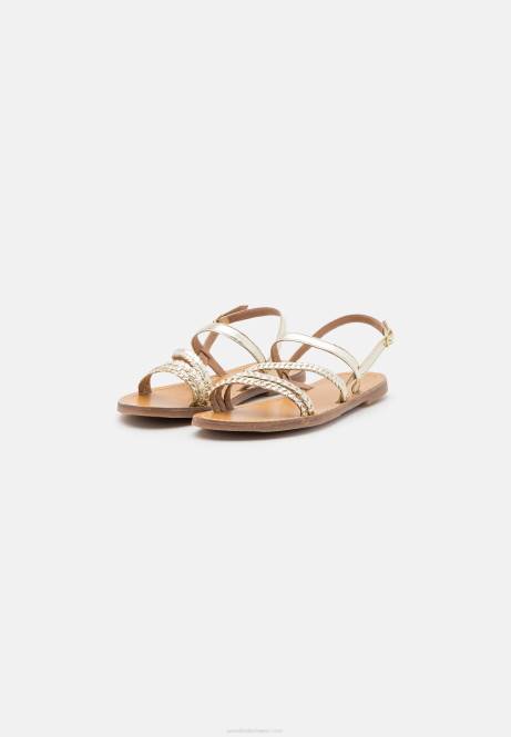 Ledersandalen gold Anna Field V0FT1337 Frauen