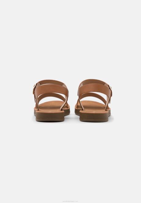 Sandalen Cognac Anna Field V0FT1268 Frauen