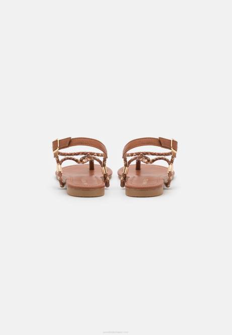T-Steg-Sandalen Cognac/Gold Anna Field V0FT1512 Frauen
