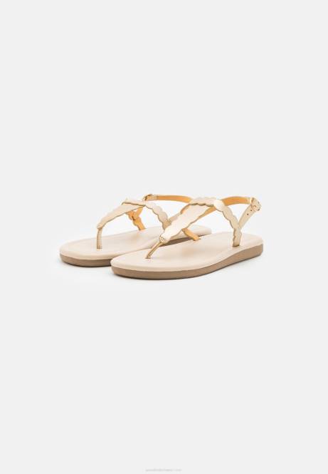 T-Steg-Sandalen Gold Anna Field V0FT1518 Frauen