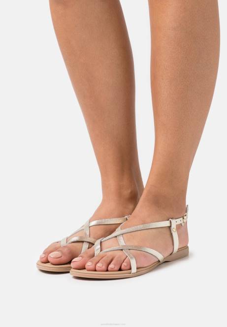T-Steg-Sandalen aus Leder in Gold Anna Field V0FT1522 Frauen