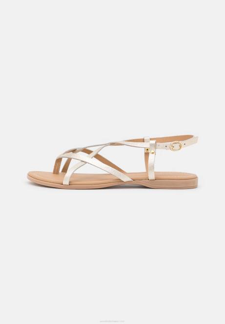 T-Steg-Sandalen aus Leder in Gold Anna Field V0FT1522 Frauen