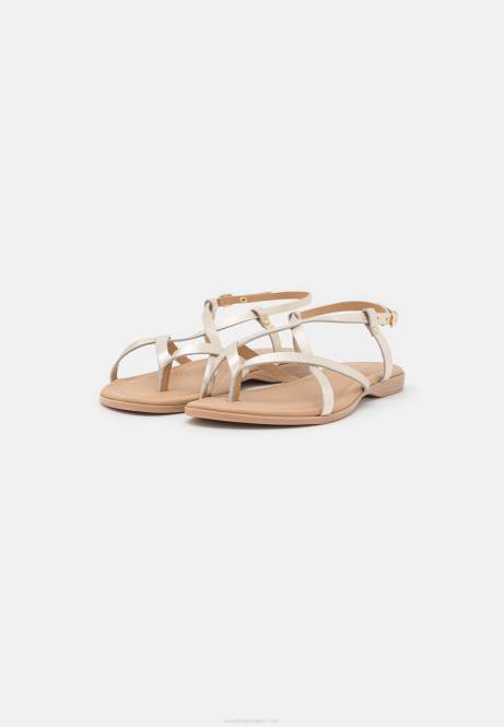 T-Steg-Sandalen aus Leder in Gold Anna Field V0FT1522 Frauen