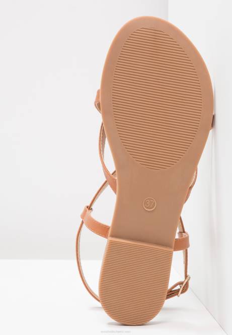 T-Steg-Sandalen in Cognac Anna Field V0FT1508 Frauen