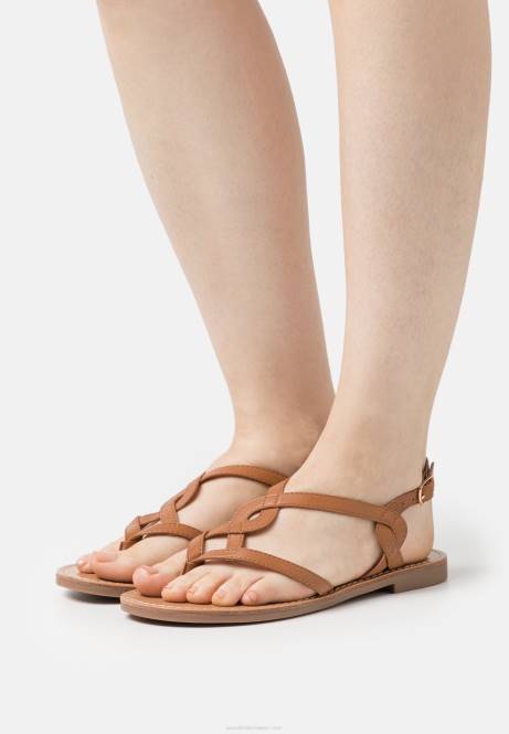 T-Steg-Sandalen in Cognac Anna Field V0FT1527 Frauen