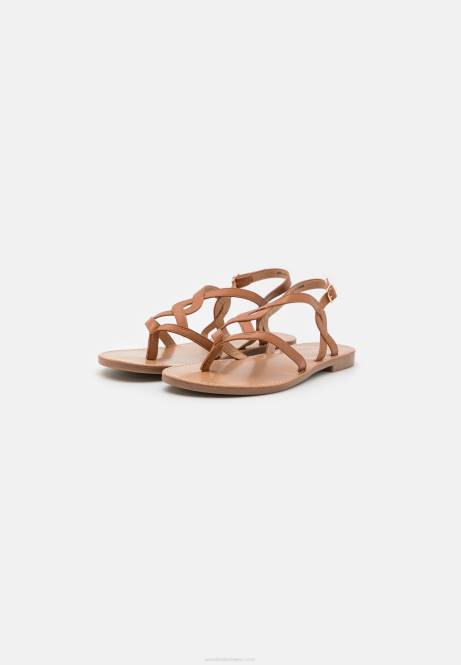 T-Steg-Sandalen in Cognac Anna Field V0FT1527 Frauen