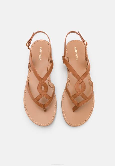T-Steg-Sandalen in Cognac Anna Field V0FT1527 Frauen