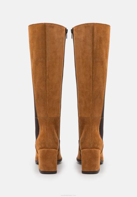 Lederstiefel Cognac Anna Field V0FT2199 Frauen