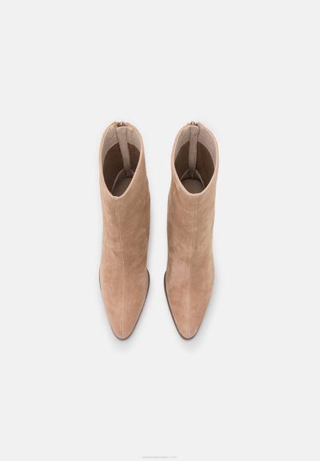 Klassische Stiefeletten aus Leder in Beige Anna Field V0FT1986 Frauen