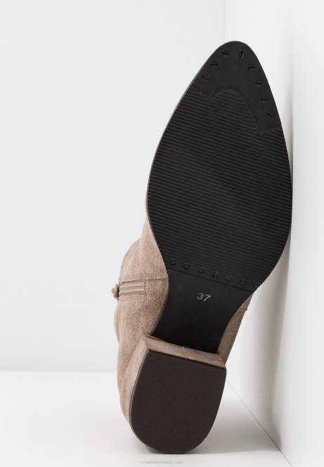 Lederstiefeletten beige Anna Field V0FT1931 Frauen